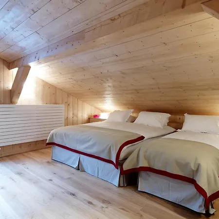 利阿仁特莱斯小木屋 木屋 霞慕尼